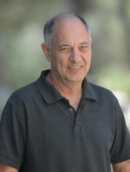 אמיר