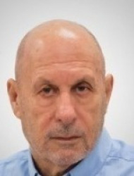 צבי