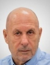 צבי